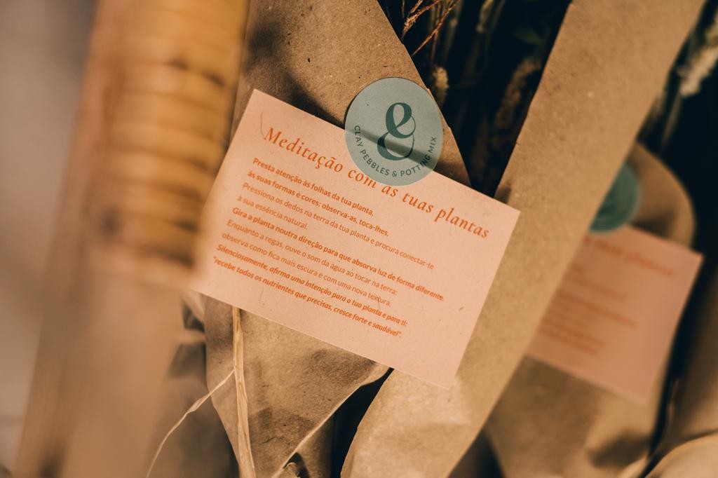 Cuidar das plantas alivia sintomas de depressão