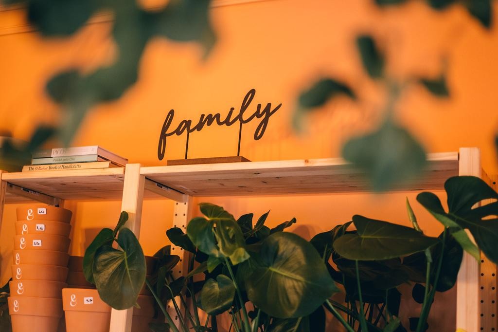 Cuidar das plantas faz bem à saúde