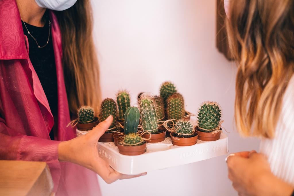 Cuidar das plantas tem vários benefícios