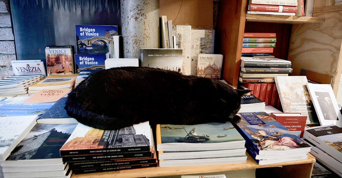 Visita guiada à incrível livraria Acqua Alta de Veneza - uma das mais bonitas do mundo