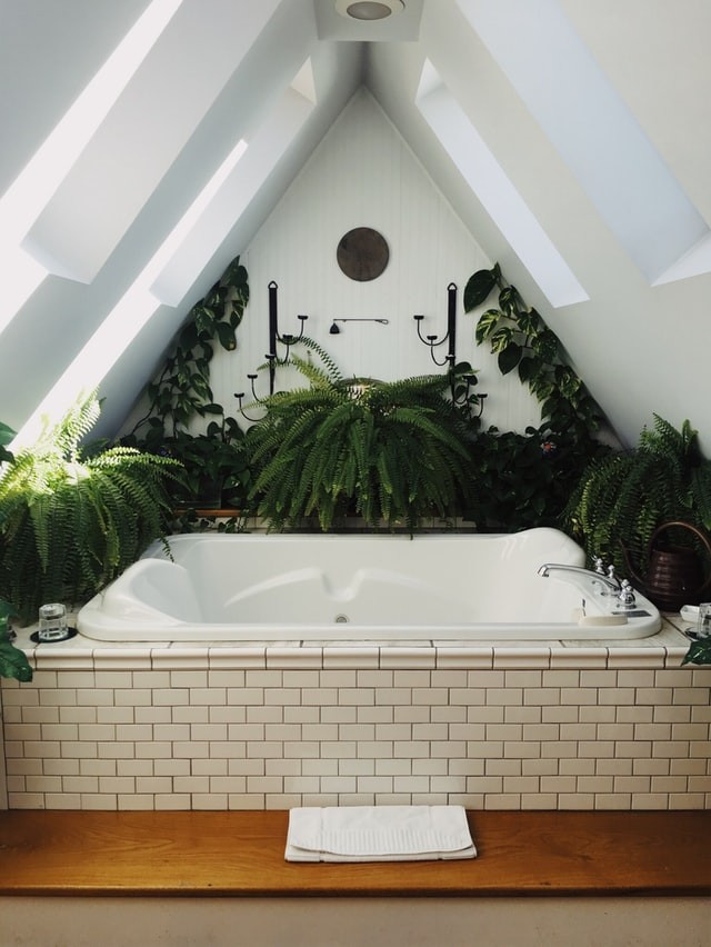 Plantas na casa de banho