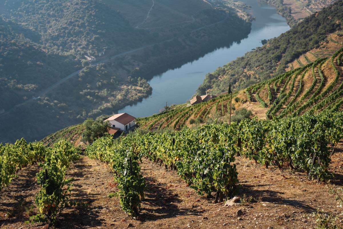 Casas no Douro