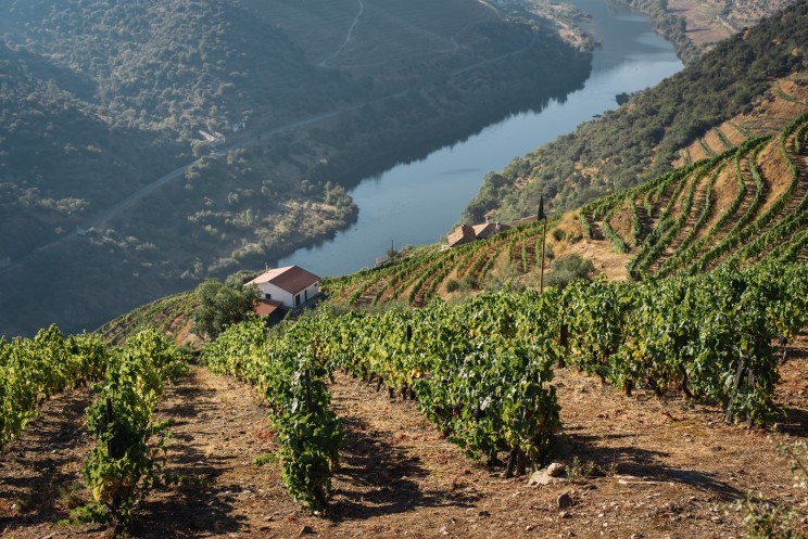 Mutați-vă în mediul rural portughez