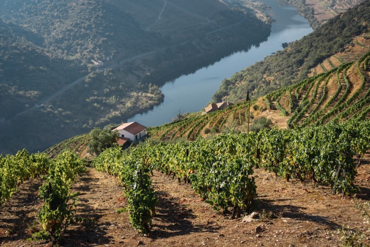 Mutați-vă în mediul rural portughez