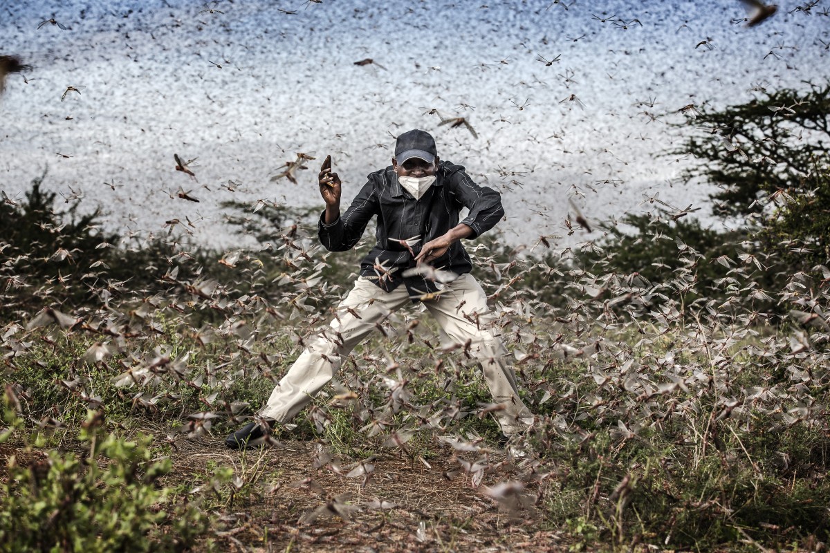 World Press Photo chega a Oeiras a partir de 15 de setembro