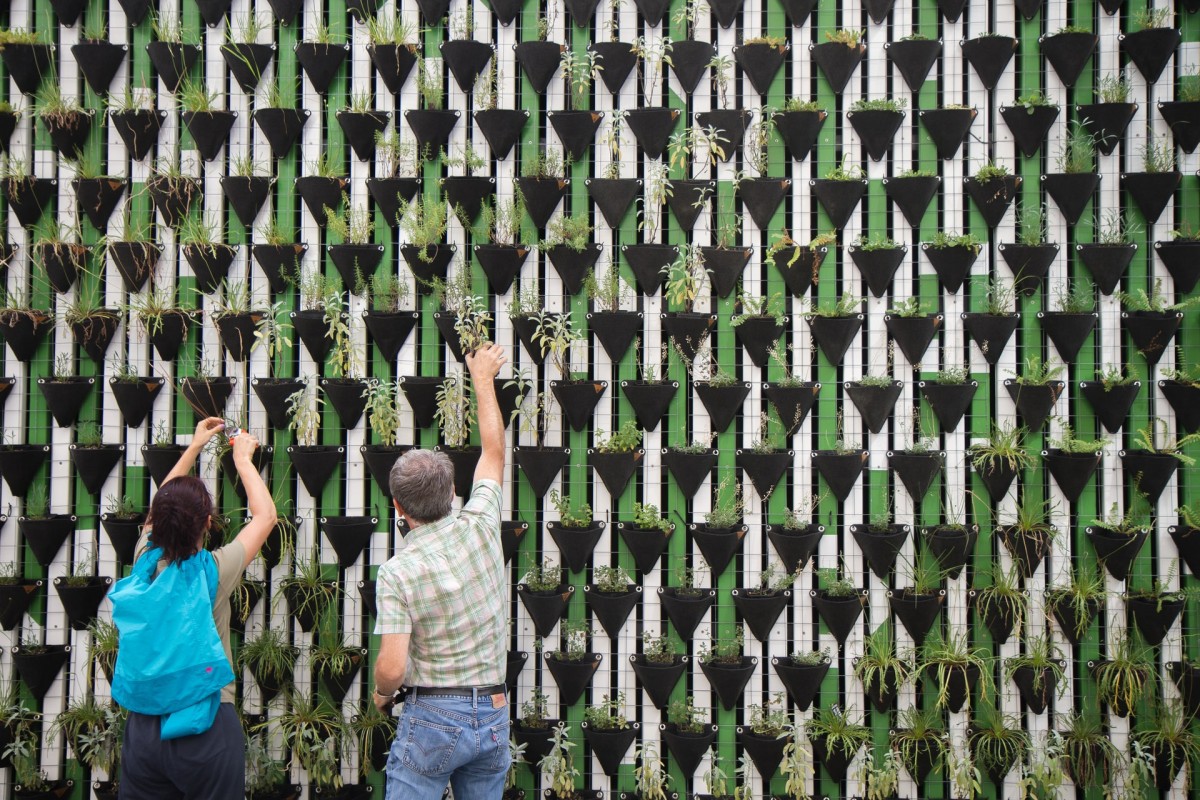 Jardins verticais