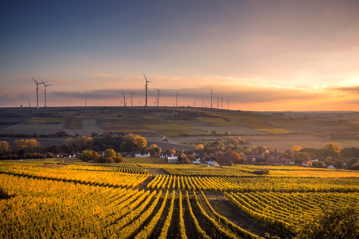 OE2022: investimento de 123 milhões para aumentar eficiência energética em edifícios