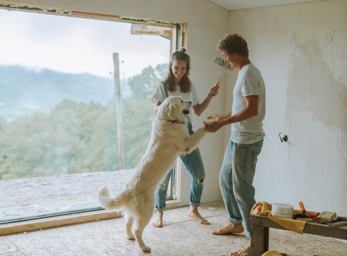 Animais de estimação em Espanha