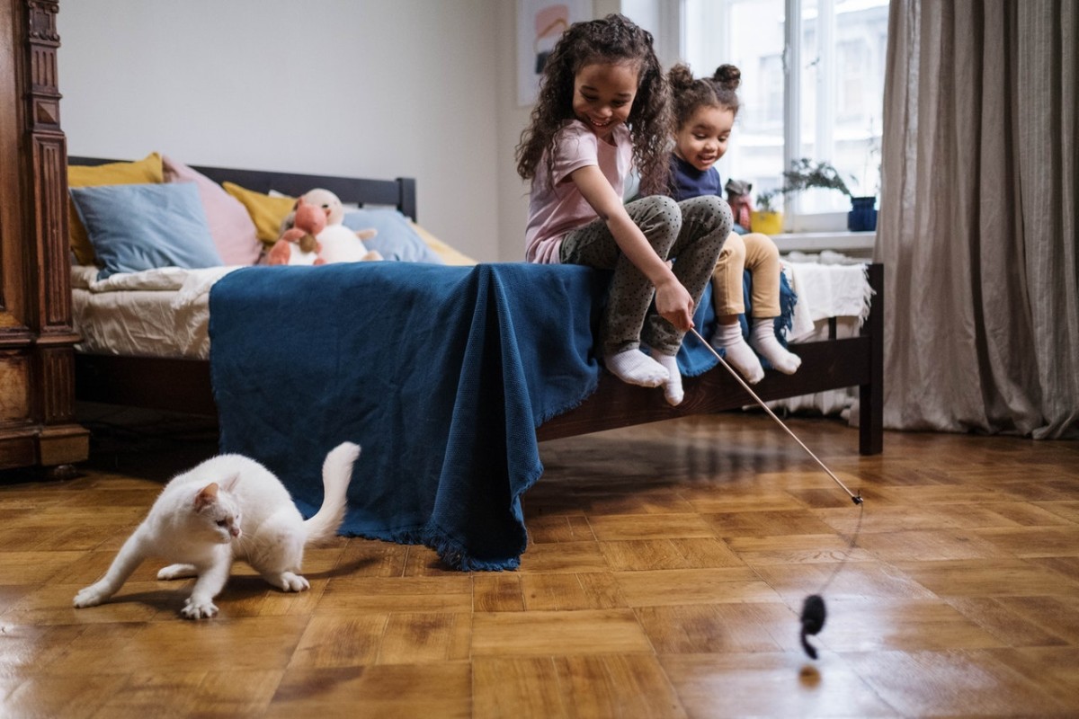 Animais de estimação em Espanha