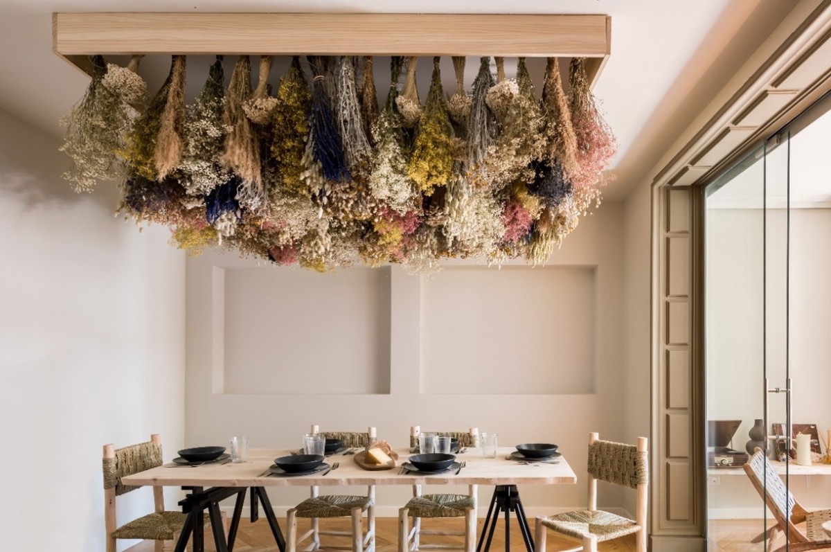 Decorar a casa com plantas