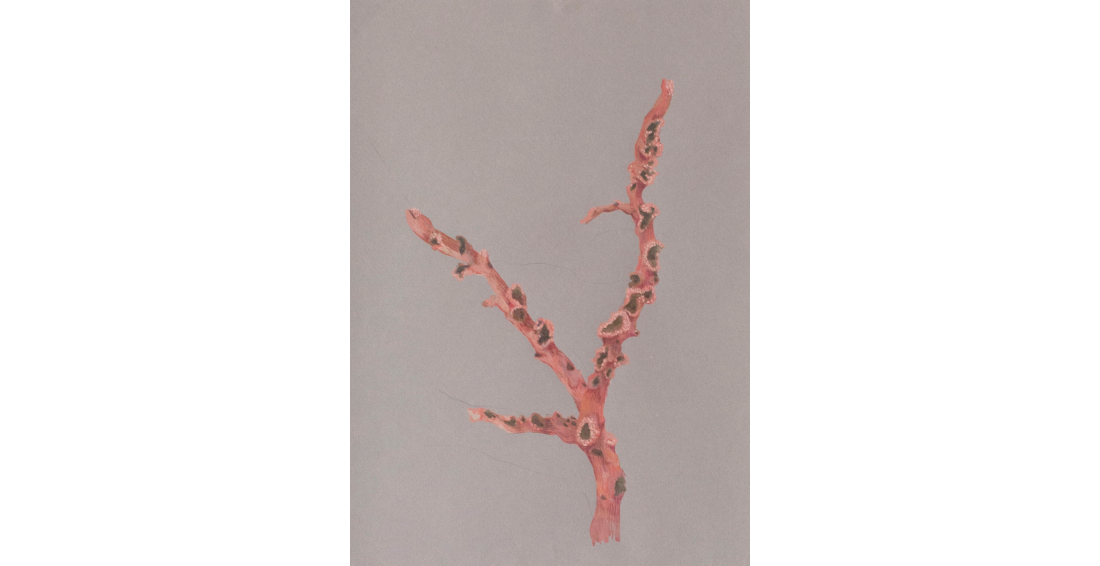 Obra de Rebecca Glover (600 euros) 