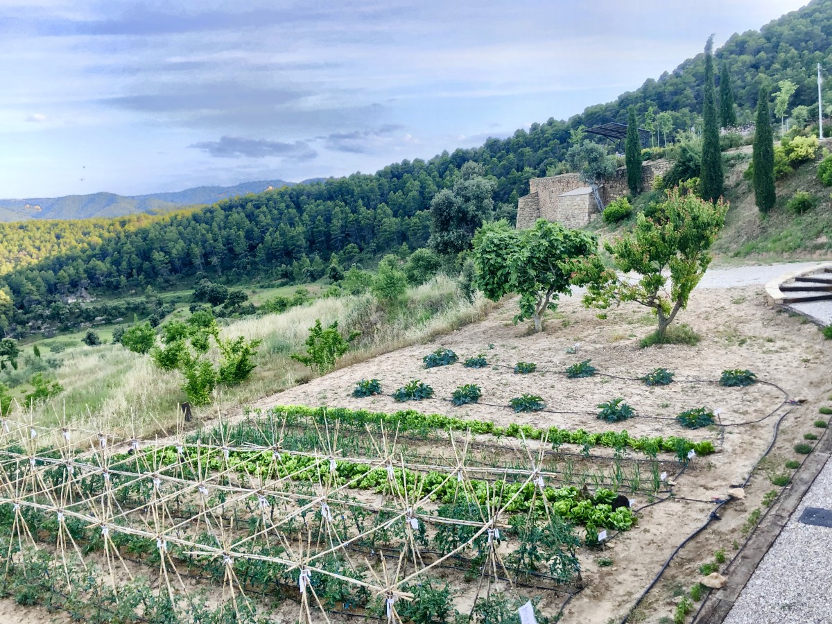 huerto_4