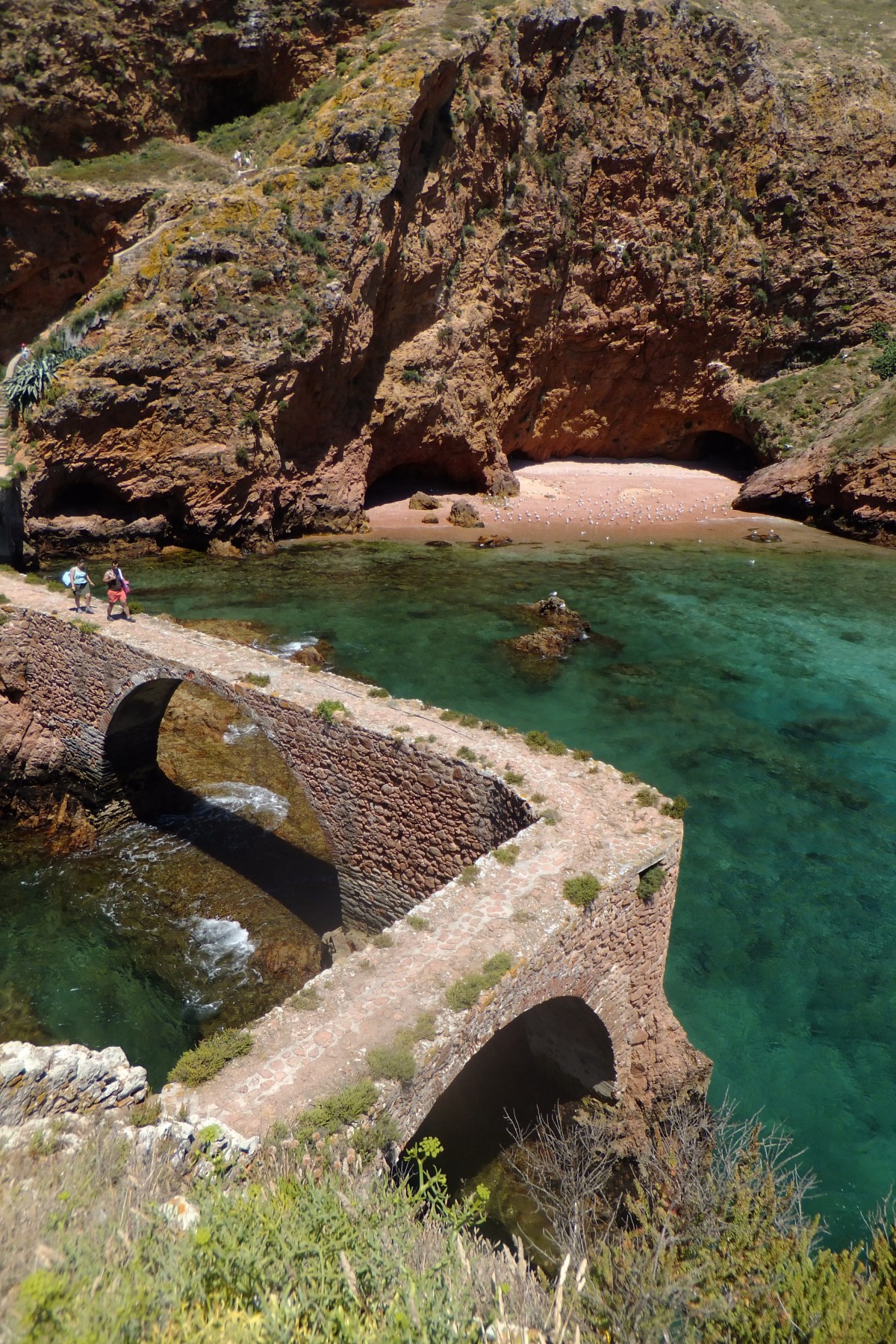 Vida e ambiente das Berlengas melhoraram com energias renováveis