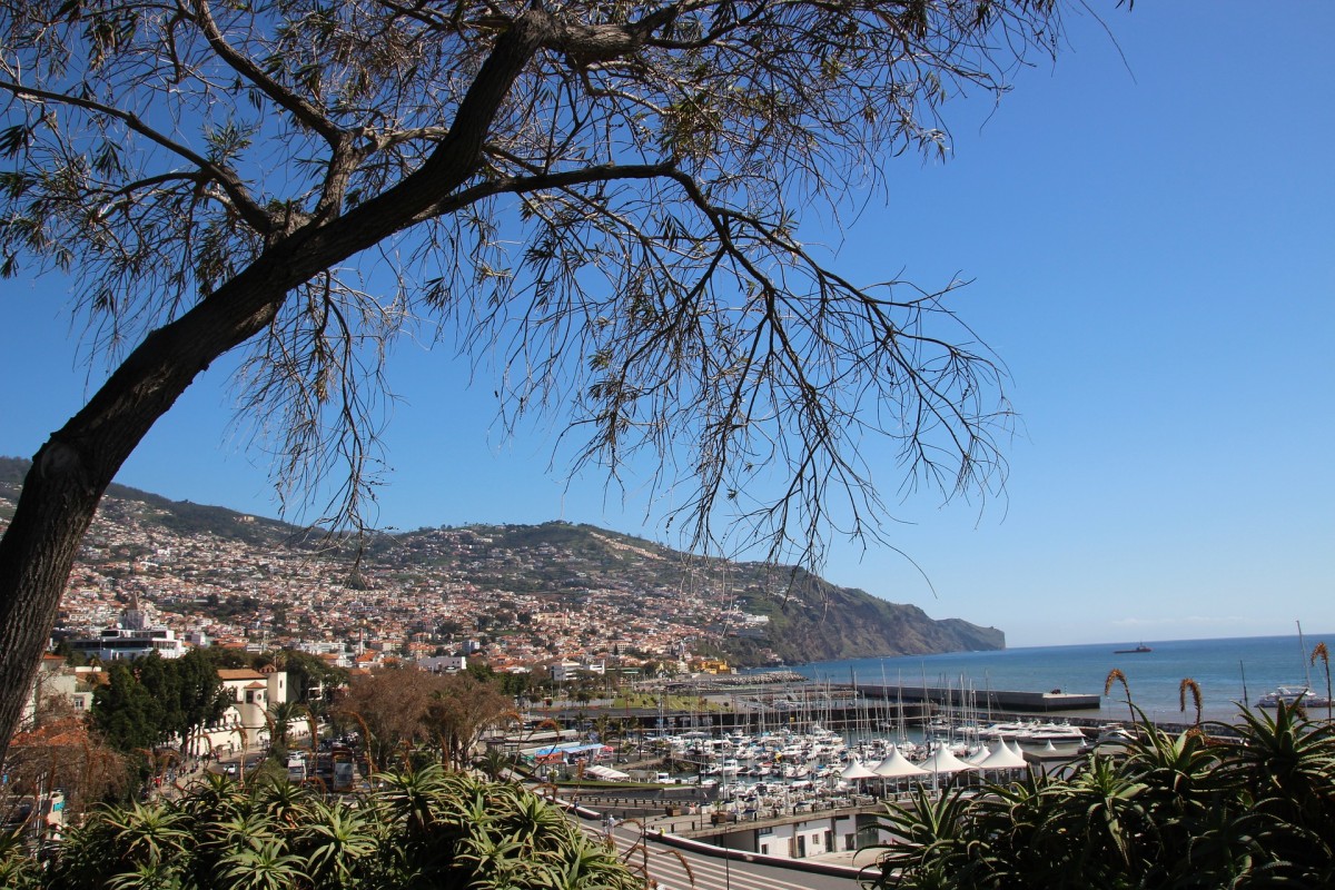 Comprar casa de férias? Funchal é a 5ª melhor cidade para investir