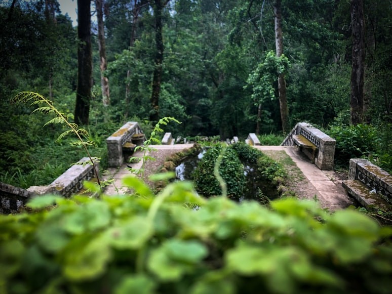 La cima della Fonte Fria, a picco sul bosco