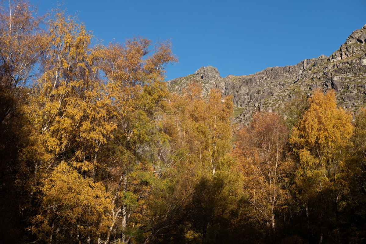 Il bosco del Covão da Ametade nascosto tra le montagne