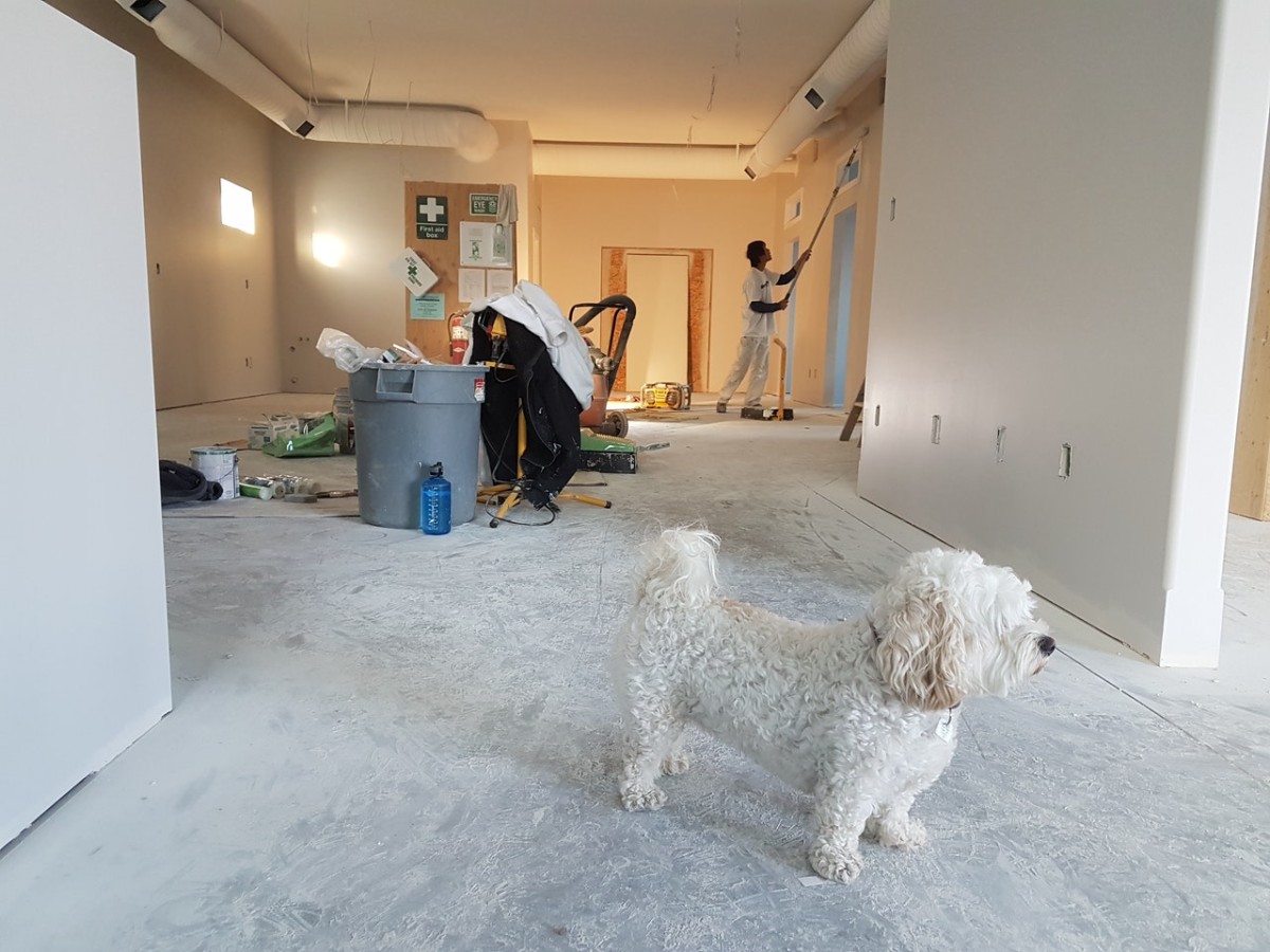 Reforma das casas para vendar