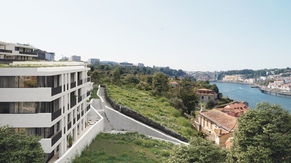 Casas incríveis junto ao Douro