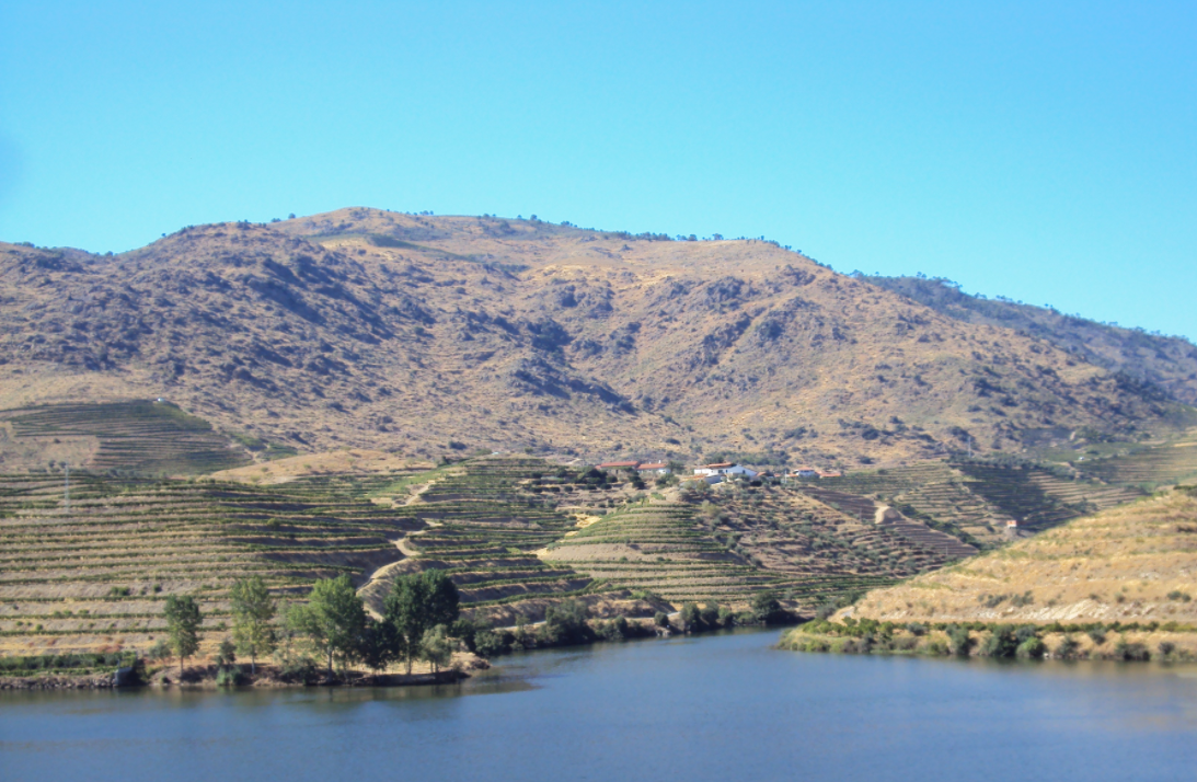 Quinta de vinhos no Douro