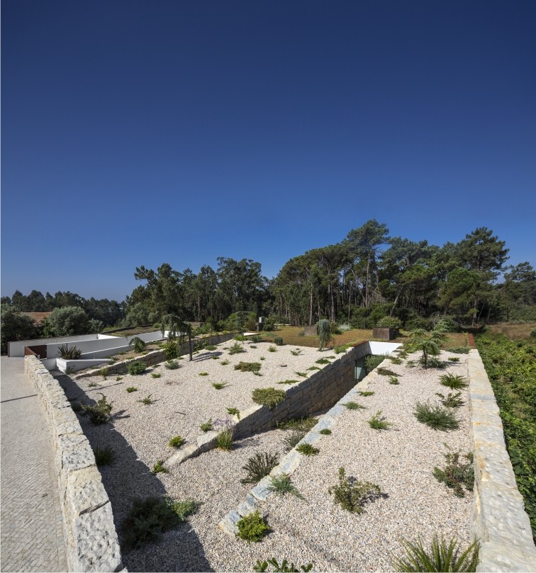 Arquitetura muda na pandemia