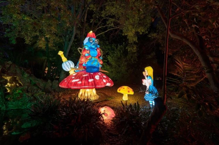 Magical Garden – Alice