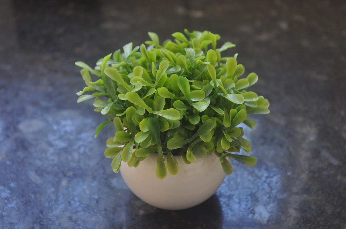 Planta artificial em vaso