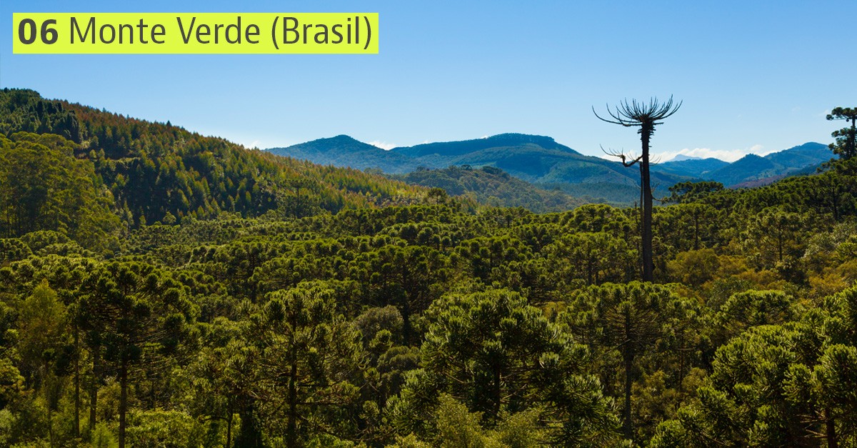 Monte Verde no Brasil