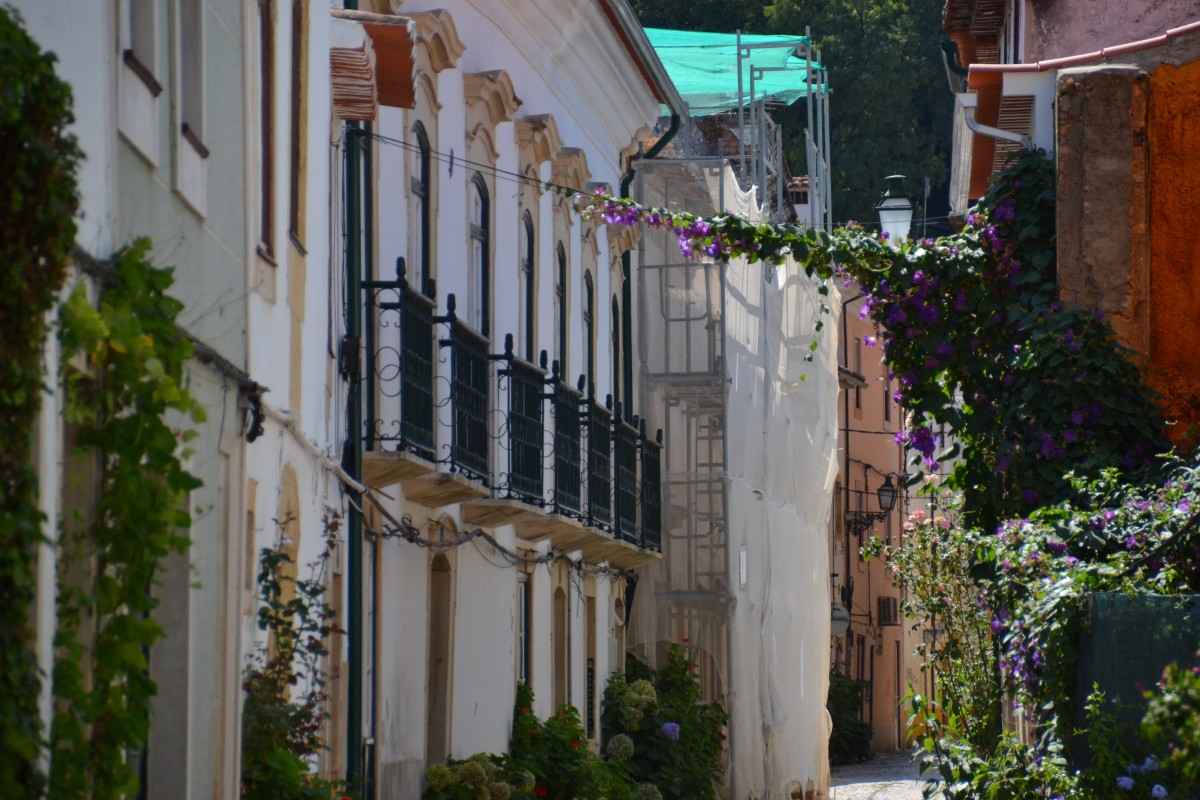 Viver no interior: falta de habitação condiciona atração de moradores