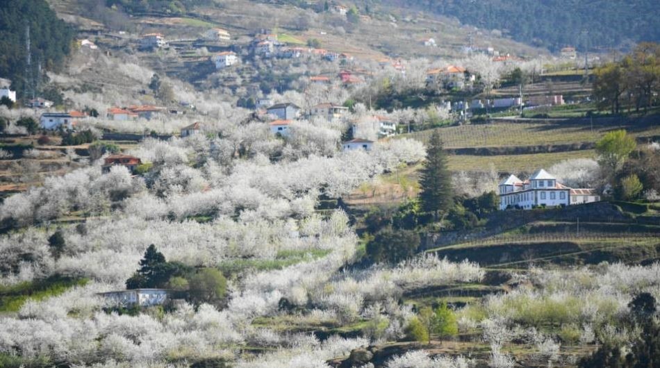 Destinos para visitar na primavera
