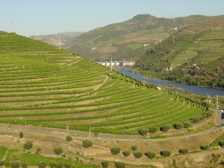 La dernière étape de notre route est la célèbre région de Vila Real