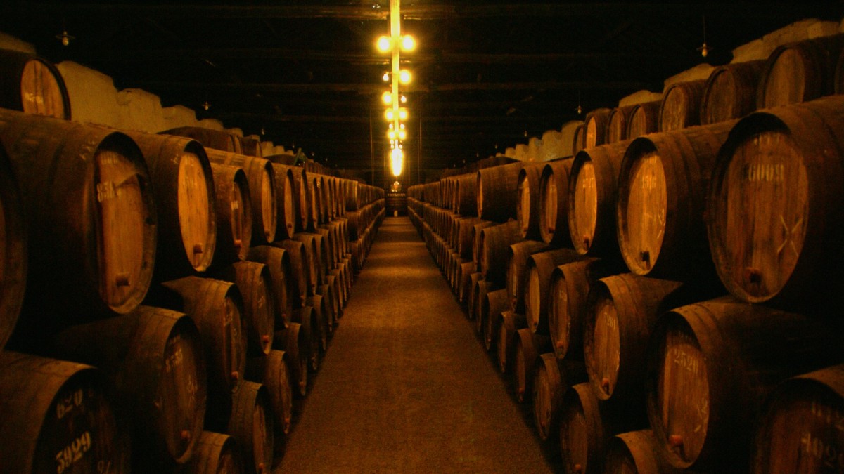 Affinez votre palais avec cette route des vins de Porto