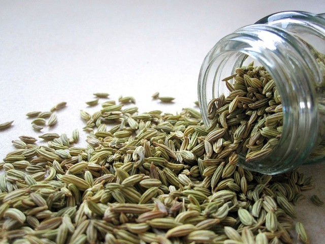 Plantas medicinais