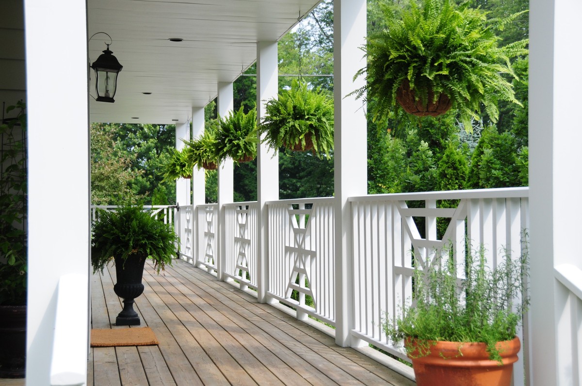 Terraço com plantas e flores