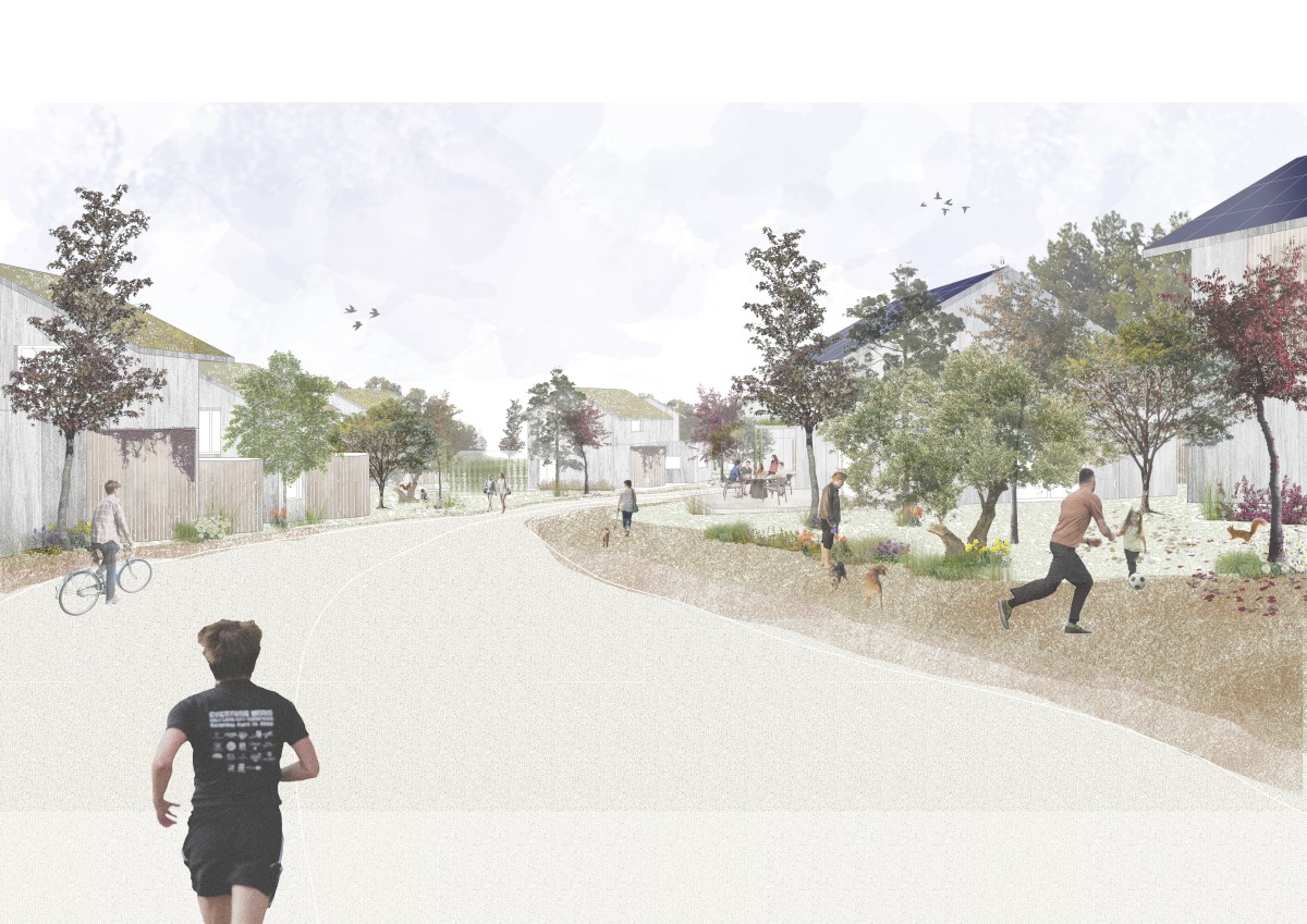 Comunidades ecológicas