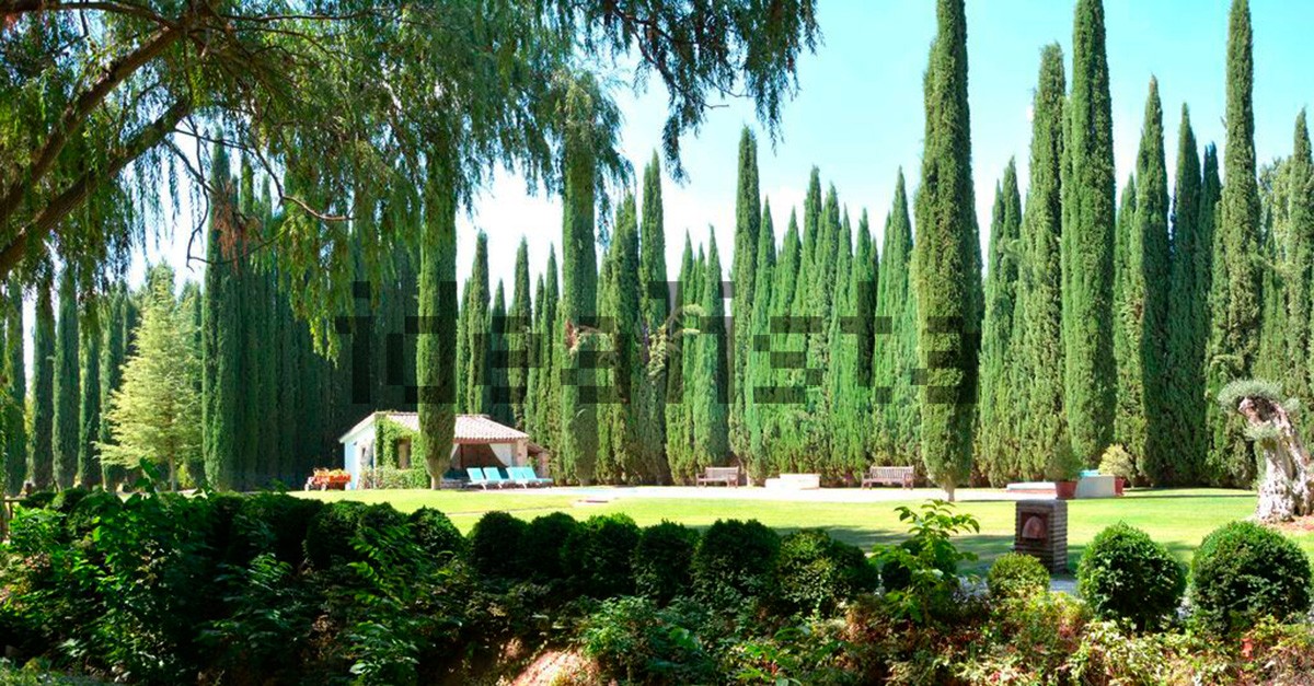 Casas de luxo com jardim