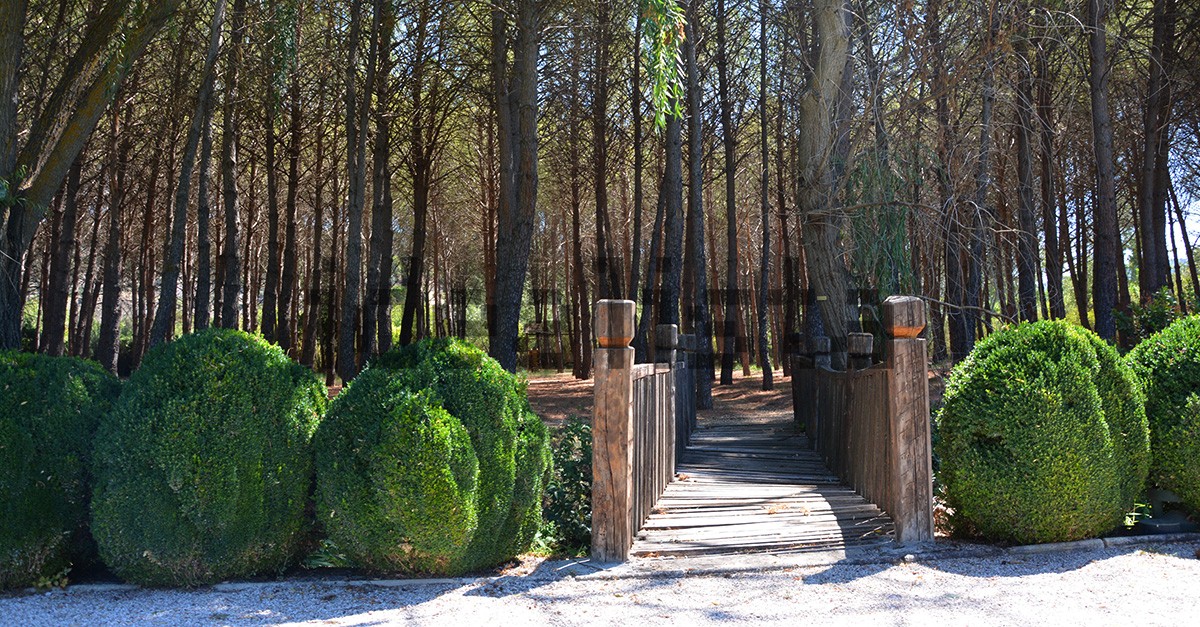 Mansões espetaculares