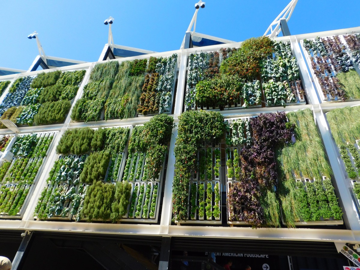 Hortas verticais: Plantas e legumes em qualquer recanto — idealista/news