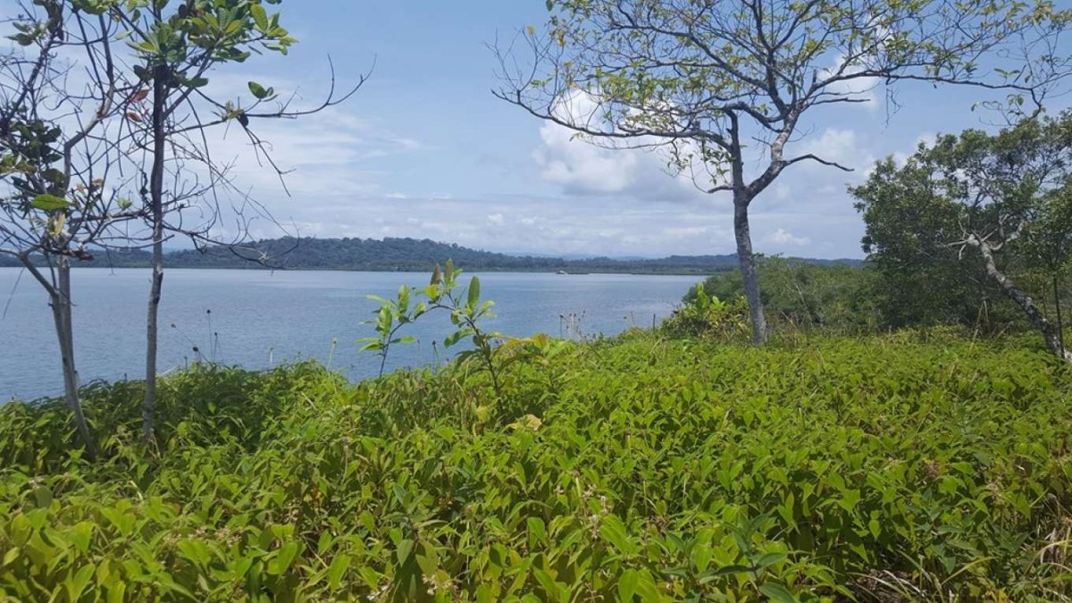 Visitar o Panamá