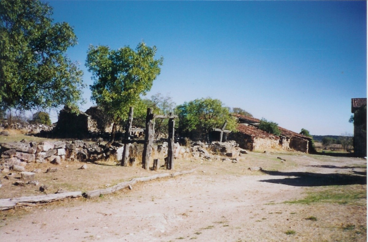 Viver no campo