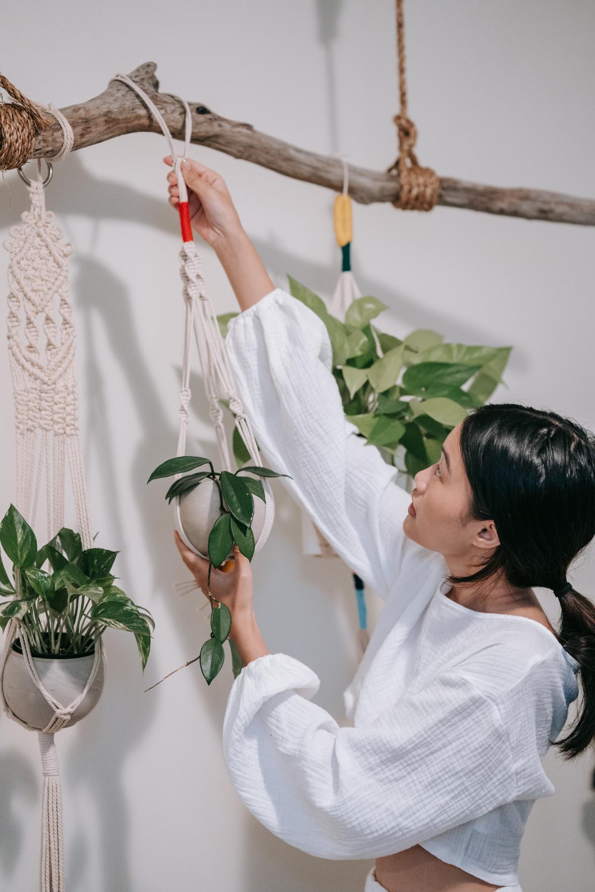 Plant hanger em macramé