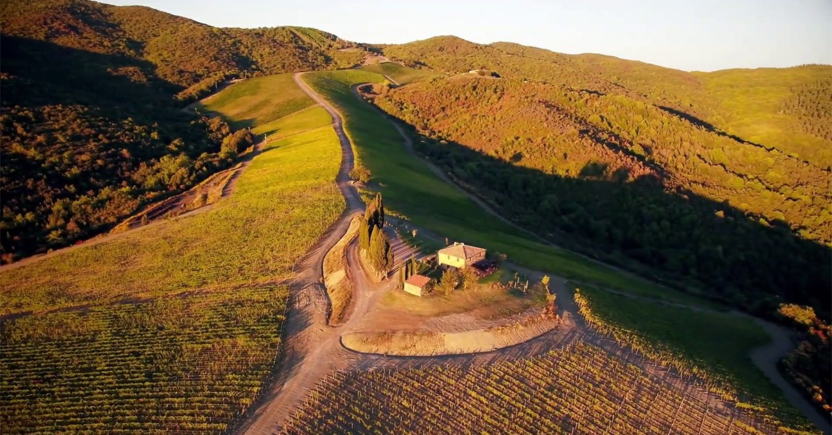 Brunello di Montalcino