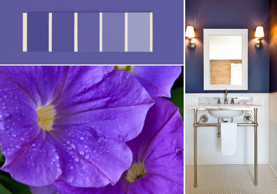 Inspiração para decorar casa de banho
