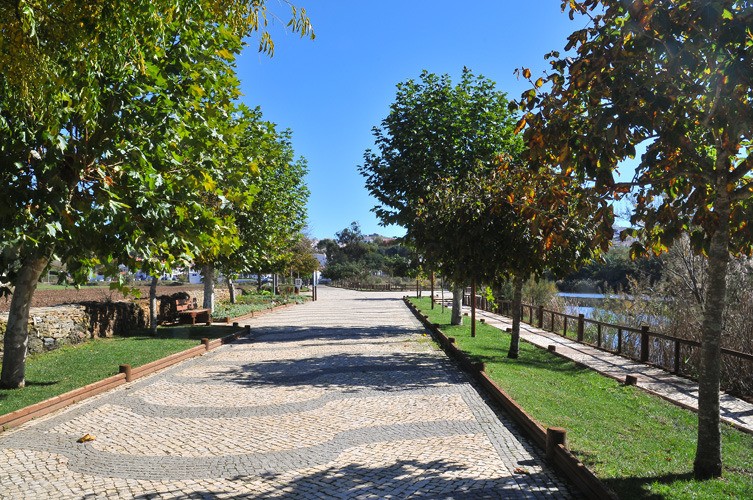 Casas para jovens: Odemira abre concurso para 25 lotes de habitação