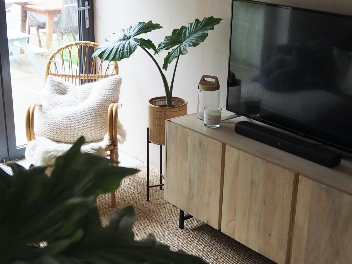 decorar com plantas