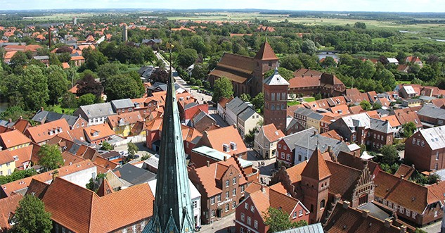 Ribe