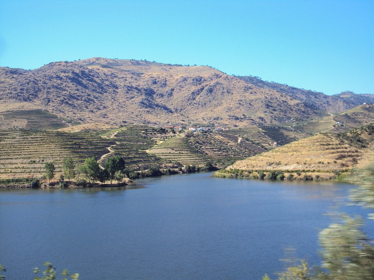 Vinho Douro