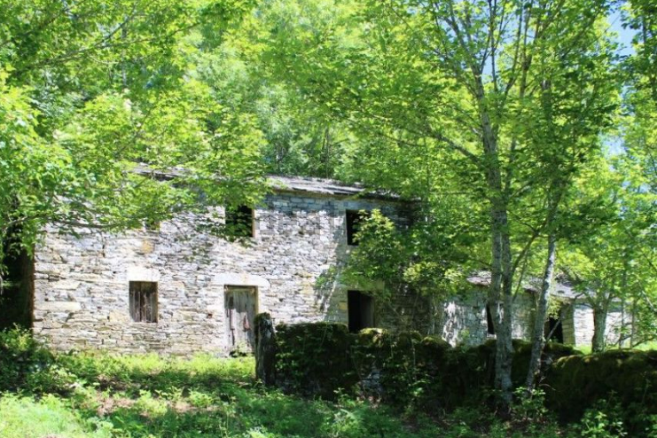 projetos de cohousing