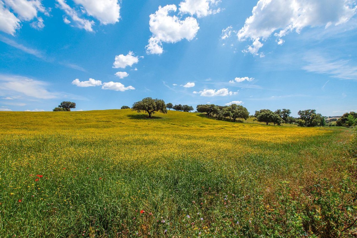 alentejo