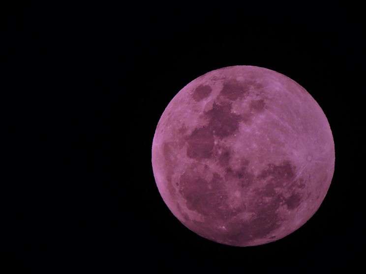 Pink moon