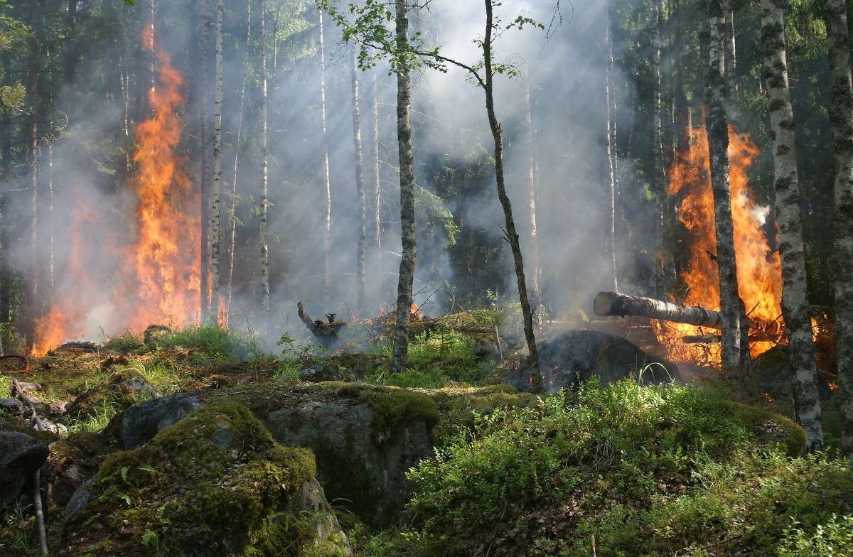incêndios Pedrógrão Grande